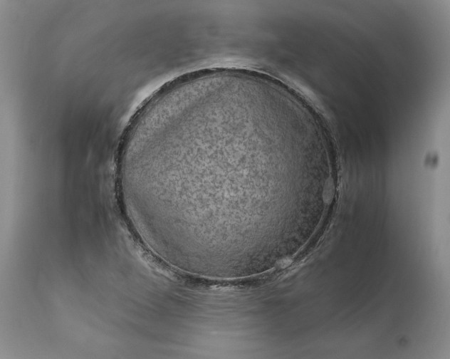 X0000113601264200910021733