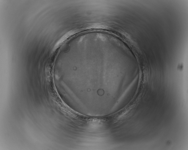 X0000113601266200910021733