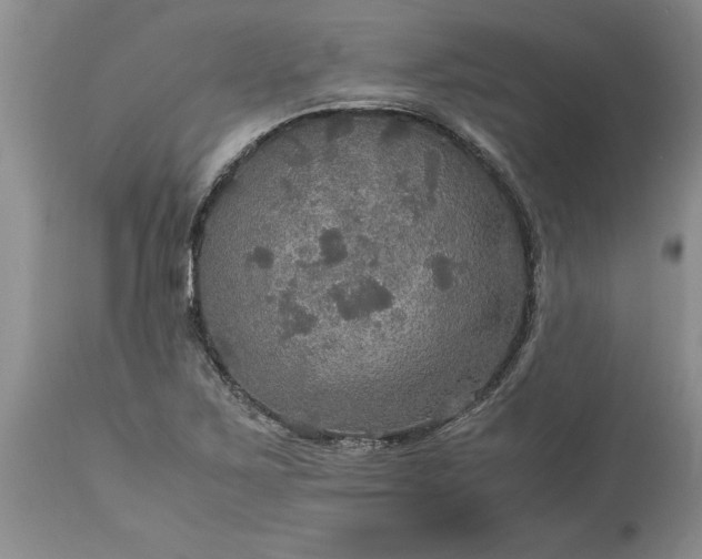 X0000113601267200910021733