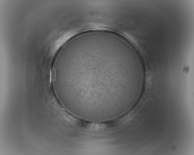 X0000113601269200910021733