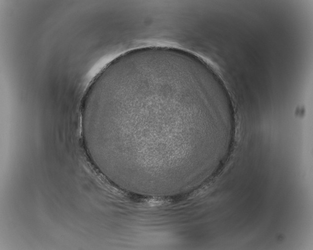 X0000113601271200910021732