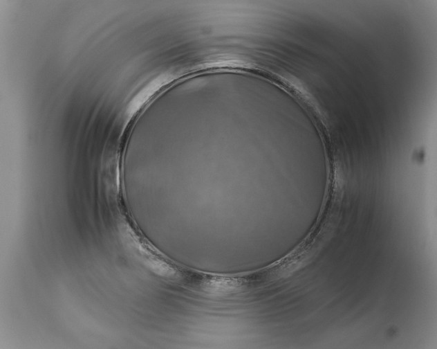 X0000113601274200910021732