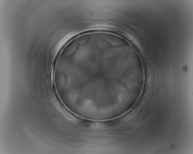 X0000113601275200910021732