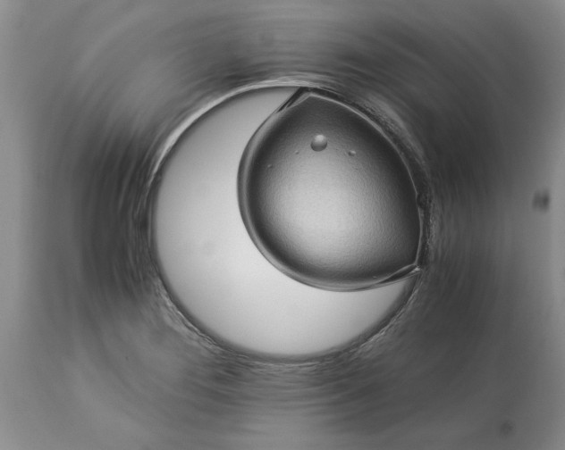 X0000113601276200910021732