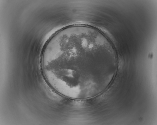 X0000113601278200910021732