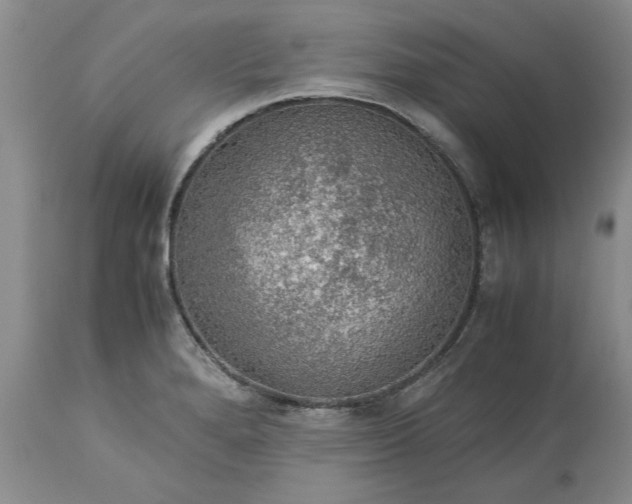 X0000113601280200910021732