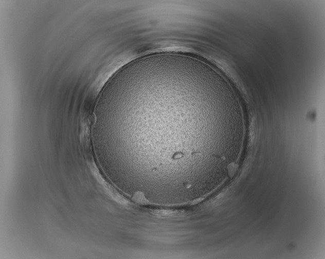 X0000113601281200910021732