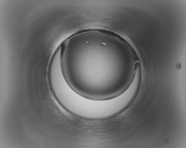 X0000113601285200910021732