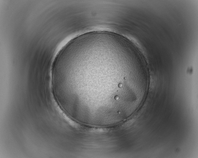 X0000113601286200910021732