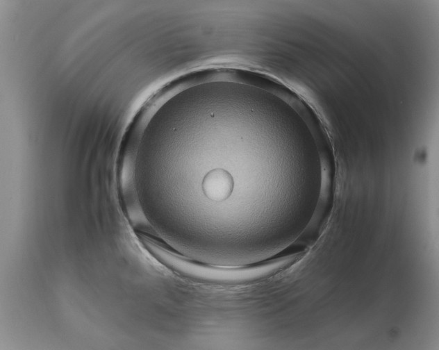 X0000113601288200910021732