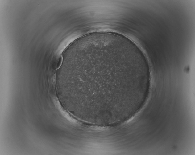 X0000113601289200910021732