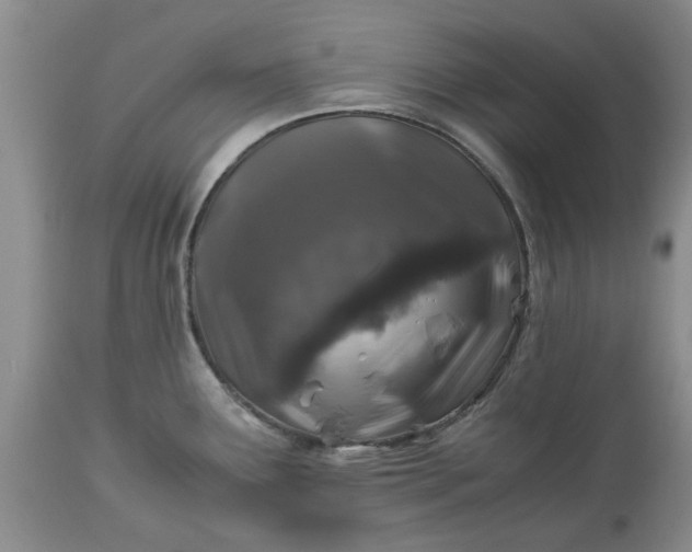 X0000113601291200910021732