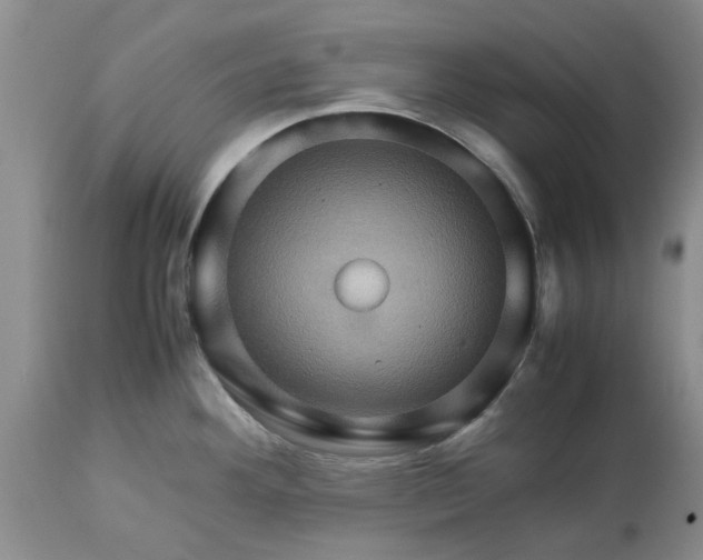 X0000113601292200910021732