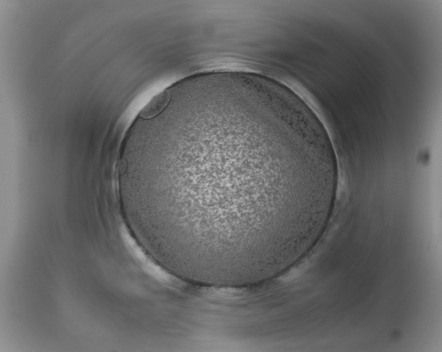 X0000113601293200910021732