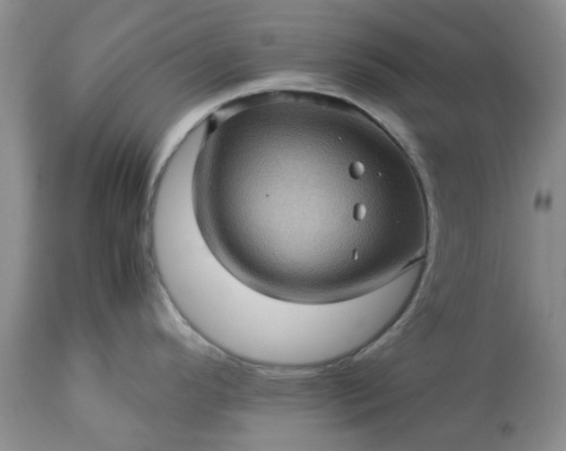 X0000113601296200910021732