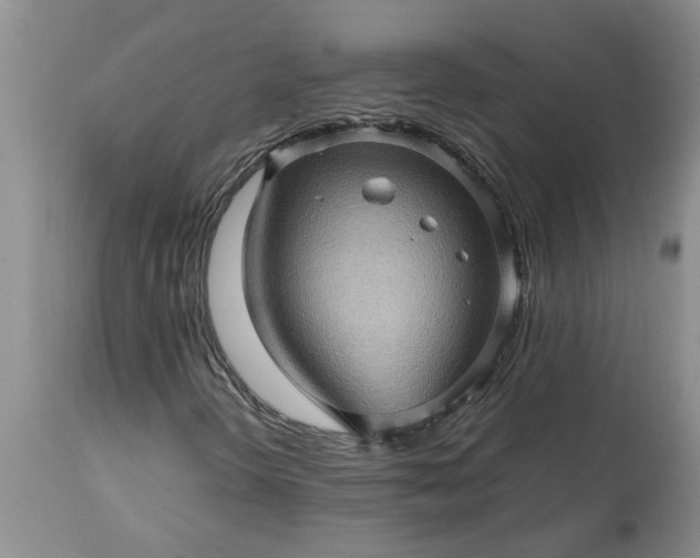 X0000113601298200910021731