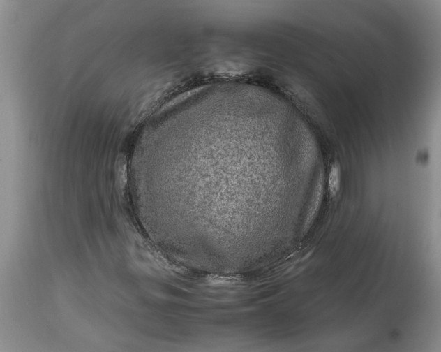 X0000113601299200910021732