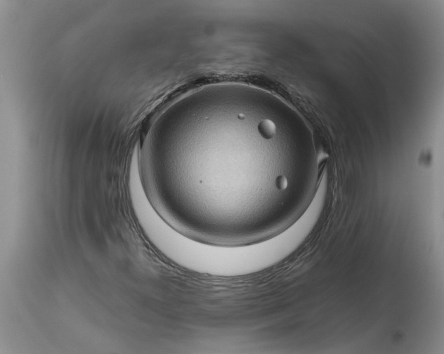 X0000113601300200910021732