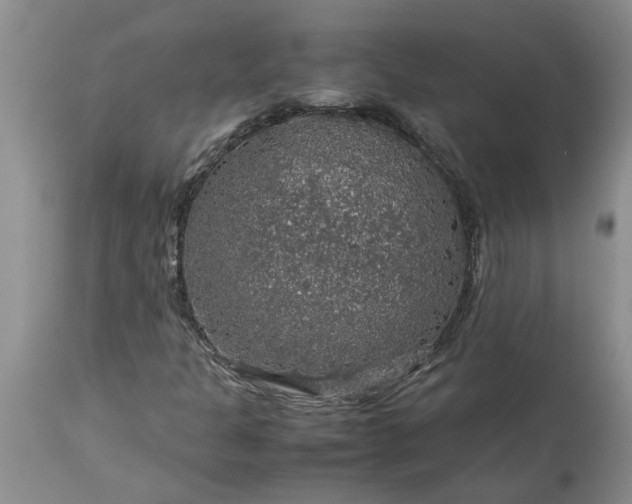 X0000113601301200910021732