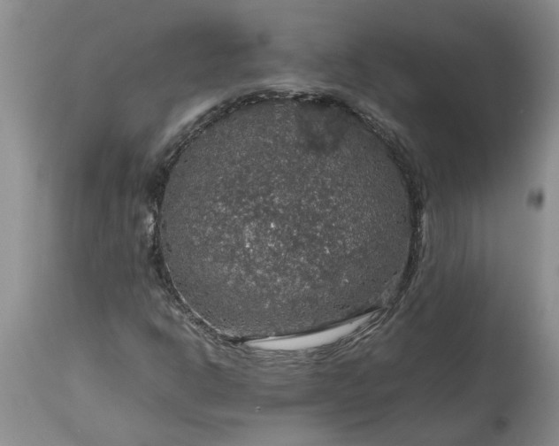 X0000113601302200910021732