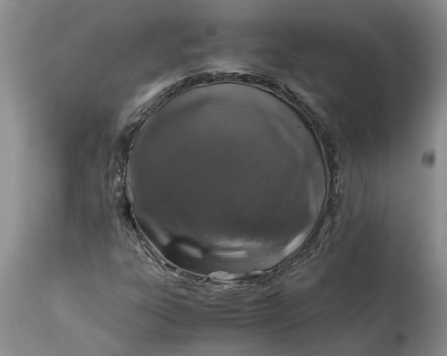 X0000113601303200910021732