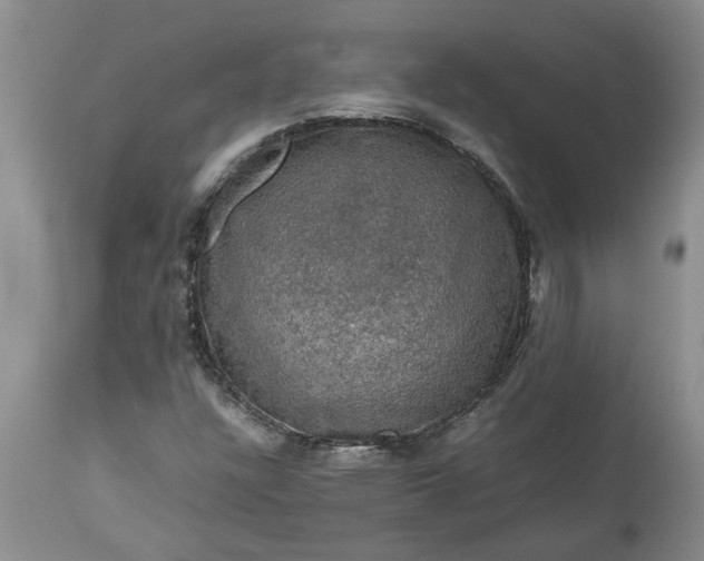 X0000113601304200910021732