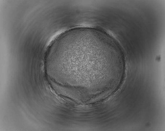 X0000113601307200910021732