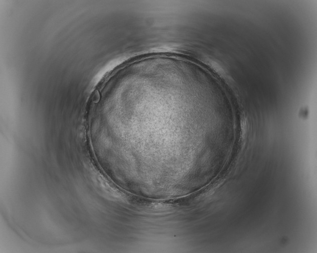 X0000113601308200910021732