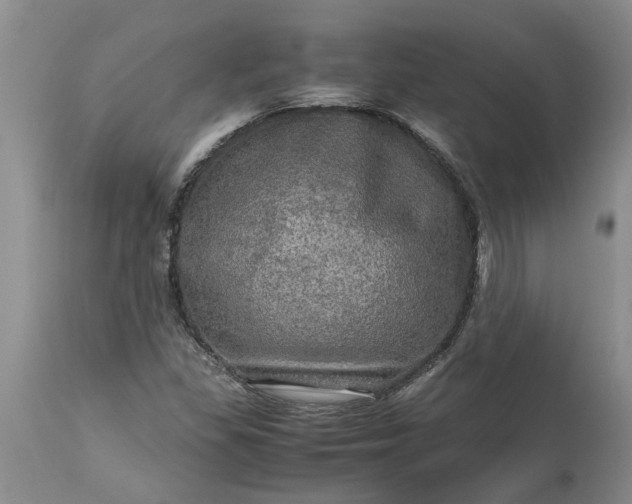 X0000113601309200910021732