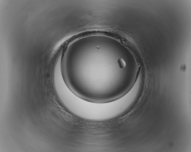 X0000113601310200910021732