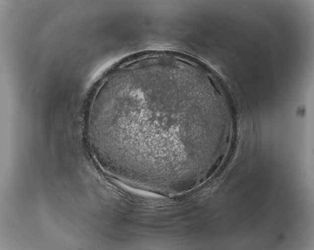 X0000113601311200910021732