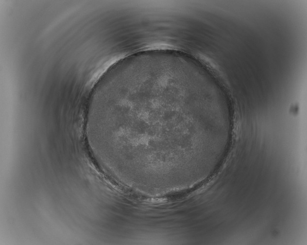 X0000113601313200910021732