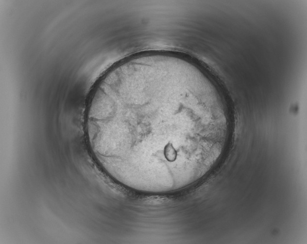 X0000113601314200910021732