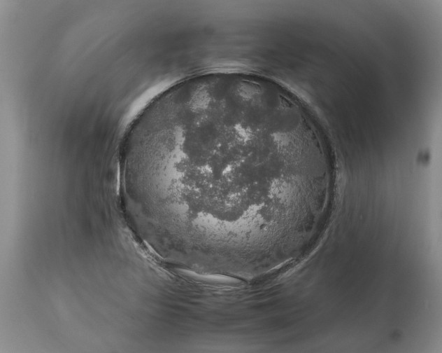 X0000113601317200910021732