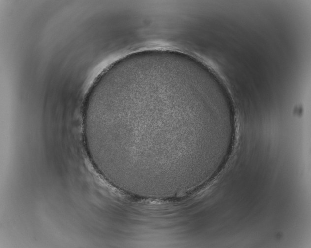 X0000113601318200910021732