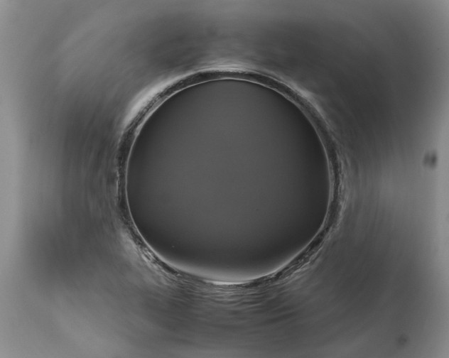 X0000113601319200910021732