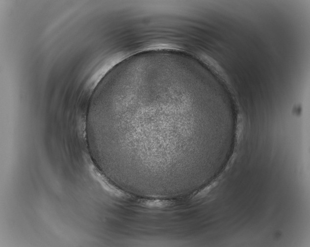 X0000113601321200910021732