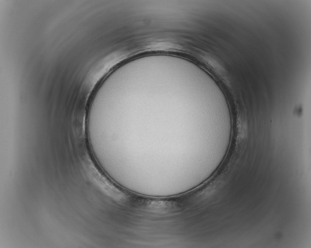 X0000113601322200910021732