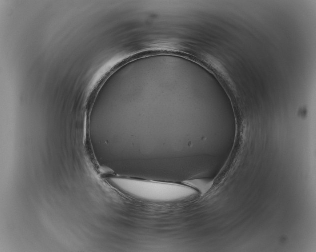 X0000113601323200910021732