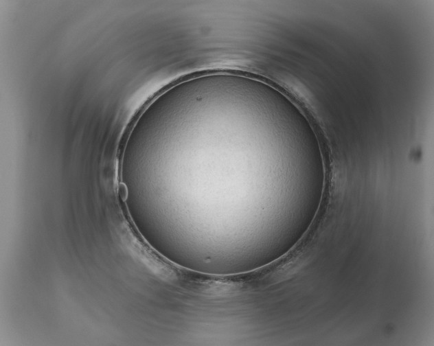 X0000113601324200910021732