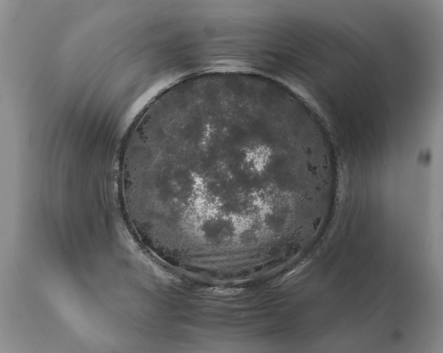 X0000113601325200910021732