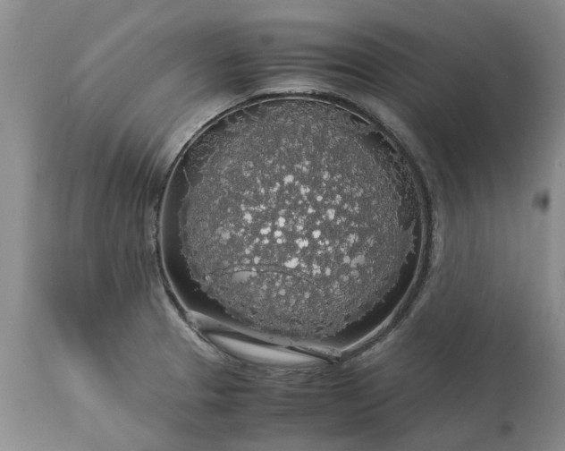 X0000113601329200910021732