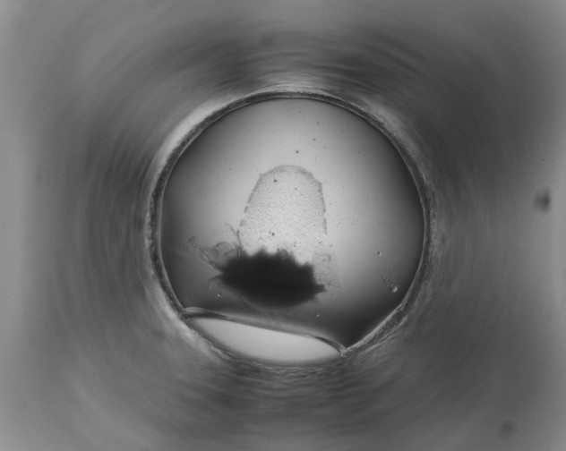 X0000113601331200910021732