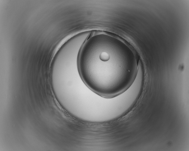 X0000113601332200910021732