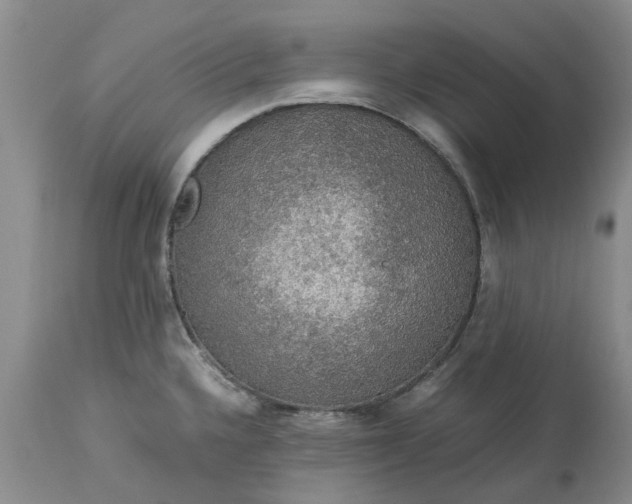 X0000113601336200910021732