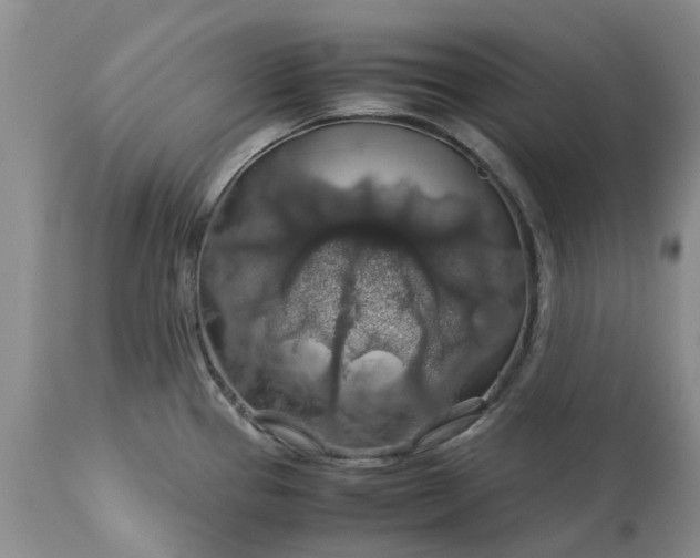 X0000113601337200910021732