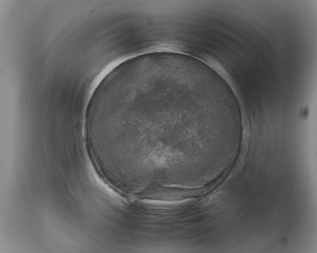 X0000113601339200910021732