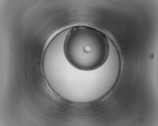 X0000113601340200910021732