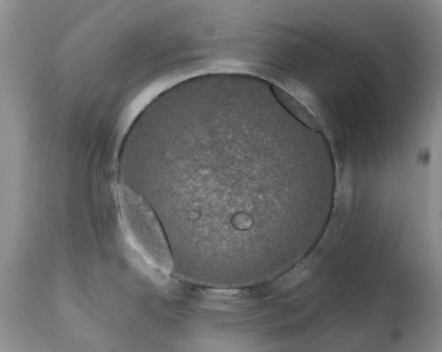 X0000113601342200910021732