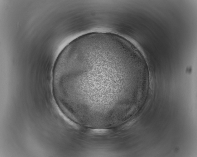 X0000113601343200910021732